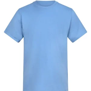 AWADIS - AT002CFBL - The AWDis 180 T - Cornflower Blue