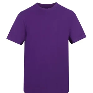 AWADIS - AT002PURP - The AWDis 180 T - Purple