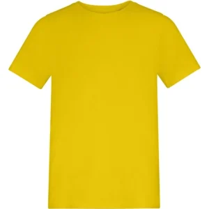AWADIS - AT01JSYEL - The AWDis 150 Kids T - Sun Yellow