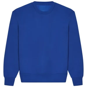 AWADIS - JH123BROY- Signature heavyweight sweatshirt - Bright Royal